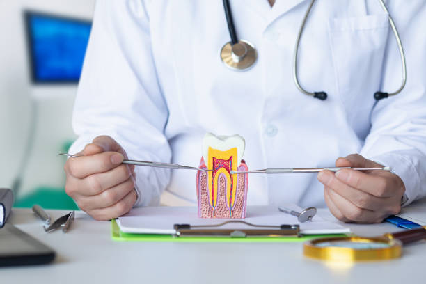 Best Emergency Dentist for Knocked-Out Tooth in Carlsbad, NM